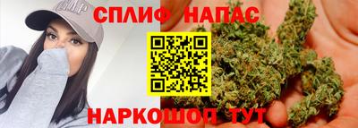 мяу мяу мука Будённовск