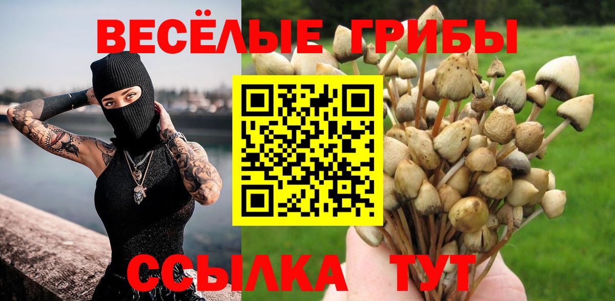 Свободный  Псилоцибиновые грибы Cubensis  Вход с VPN 